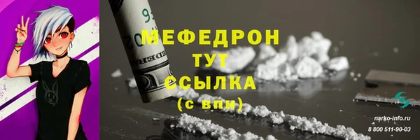 spice Богданович