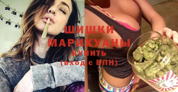 spice Богданович
