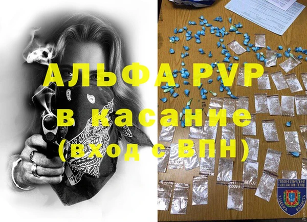 spice Богданович