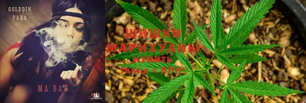 spice Богданович