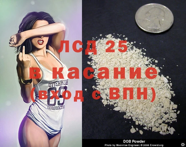 spice Богданович