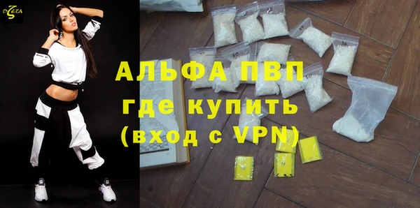 spice Богданович